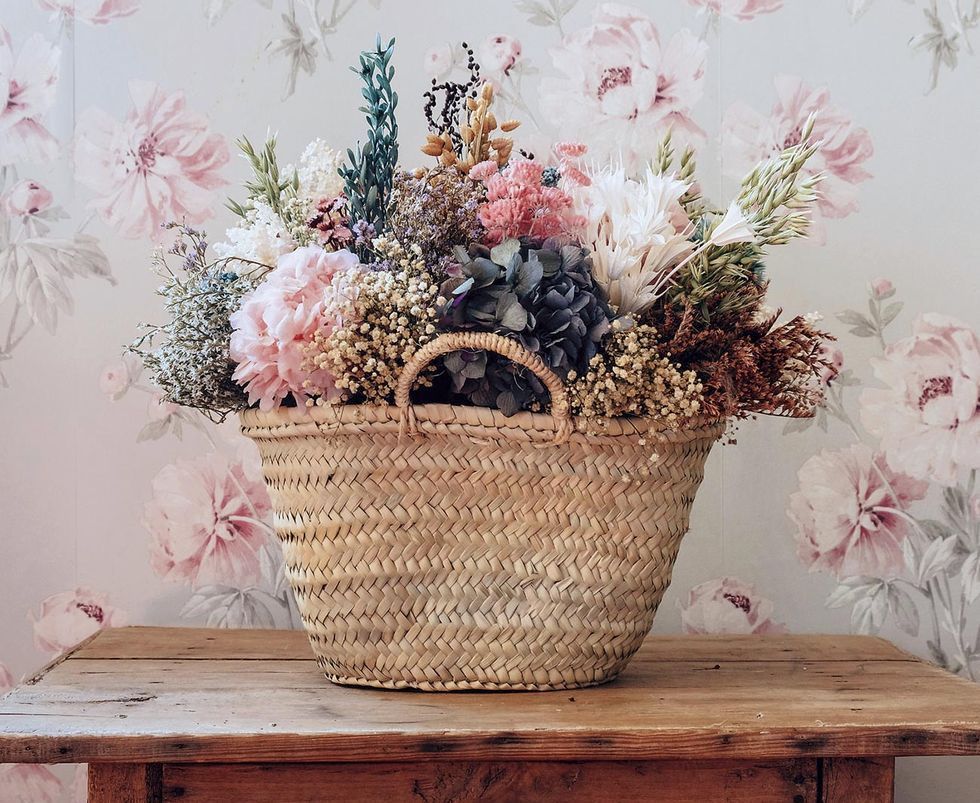 plantes interior deco