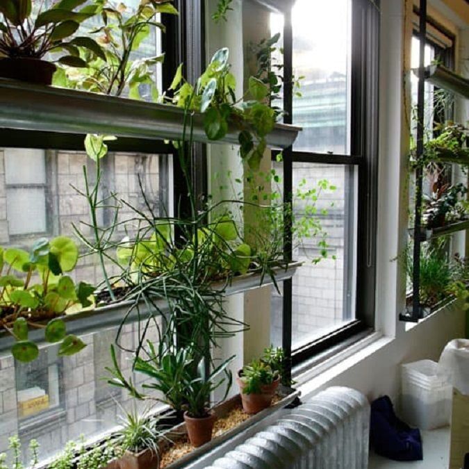 Decoració amb vegetació