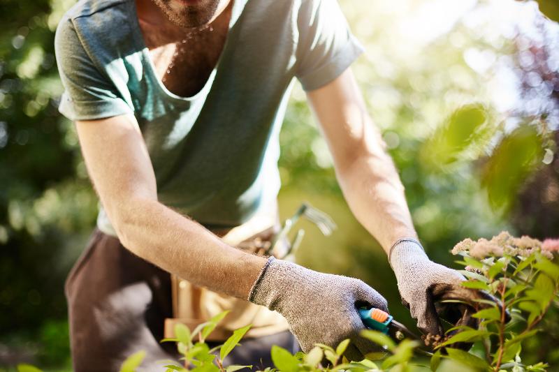 Expertos en jardinería