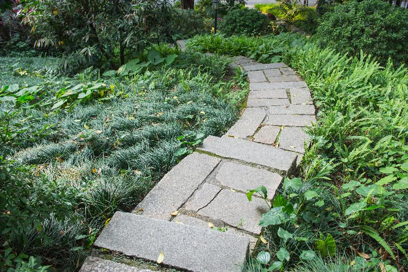 Piedra jardín